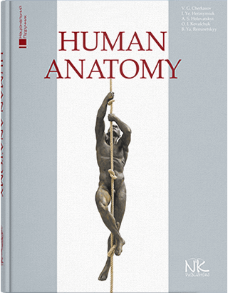 Human Аnatomy=Анатомія людини. — 2-ге вид. Черкасов В. Р., герасим'юк І. Є. та ін.