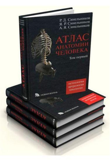 Атлас анатомії людини. Синельников у 4-х т.т. Р. Д. Синельников, Я. Р. Синельников, А. Я. Синельников. Д. Синельников, Я. Р. Синел