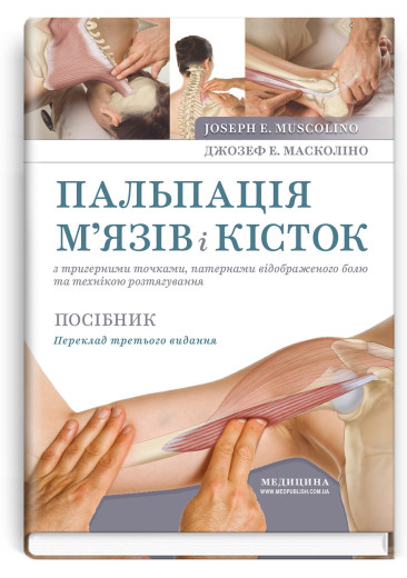 Пальпація м’язів і кісток з тригерними точками, патернами відображеного болю та технікою розтягування.