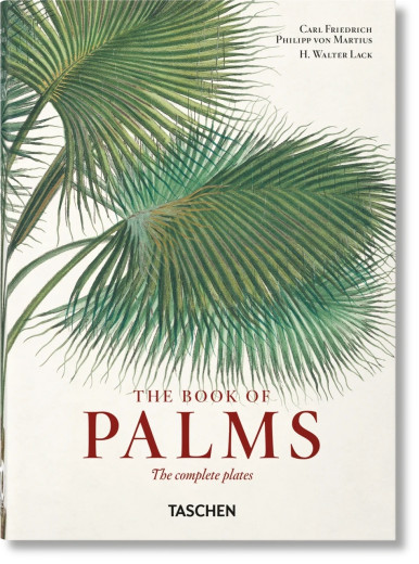 Martius. The Book of Palms. Taschen 40th Edition Series